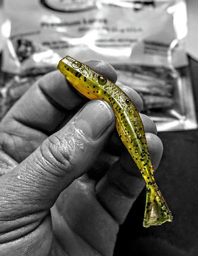 Shaky Head Lures-Case Sinkin Salty Minnow