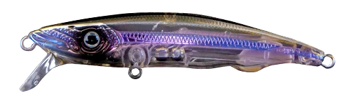 Flashy Shad