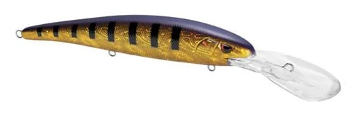 Gold Purple Perch