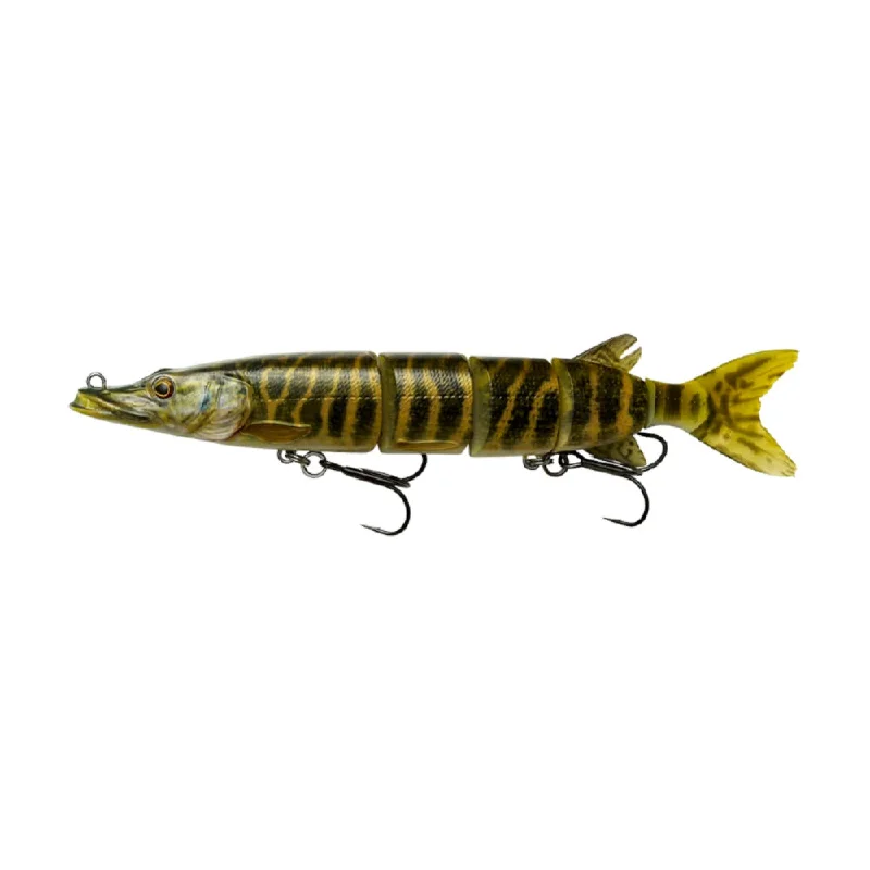 STRIPED PIKE