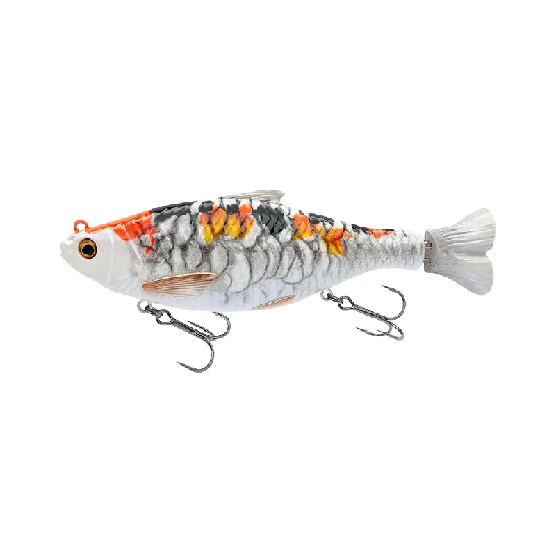 KOI CARP