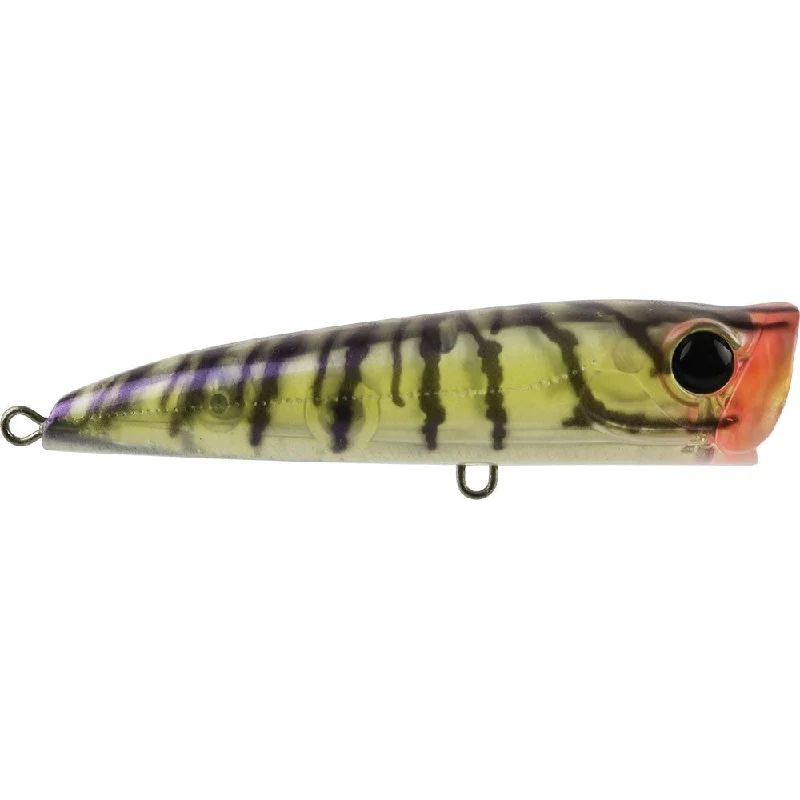 Rapala Lures-BASSDAY BACKFIRE 65MM COL C-HF-119