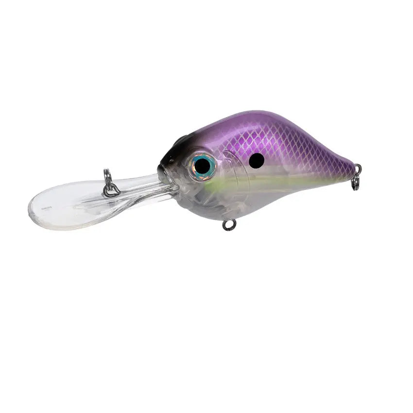 Lavendar Shad