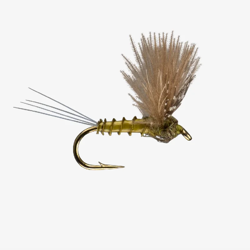 Soft Hackle Flies-CDC Comparadun