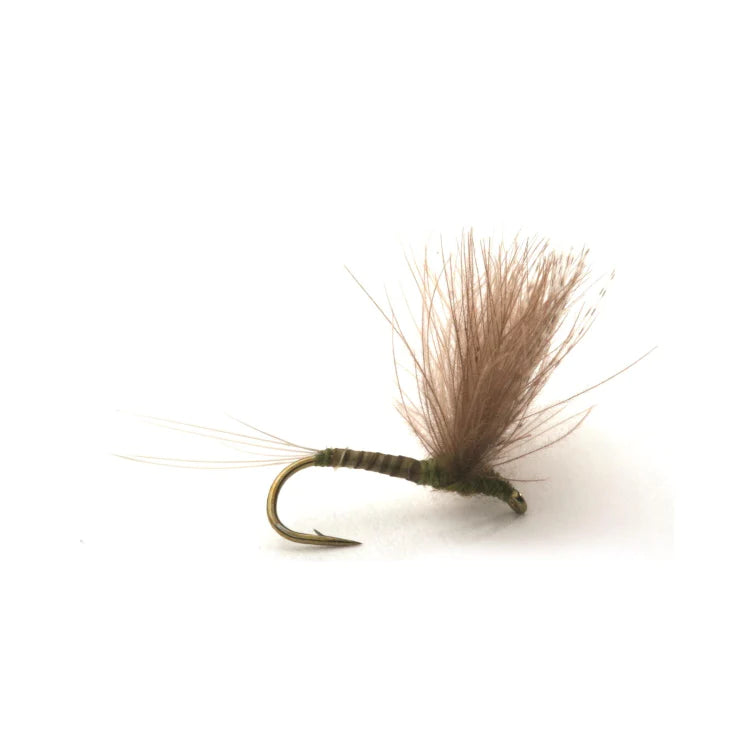 Salmon Egg Flies-BWO CDC Biot Comparadun