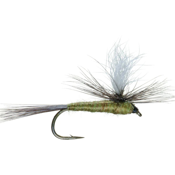 Woolly Bugger for Pike-BWO Parachute