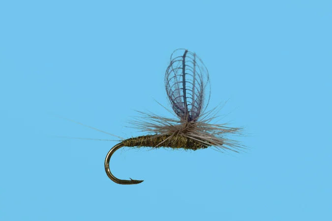 Blue Wing Olive Flies-Baetis CDC Dun