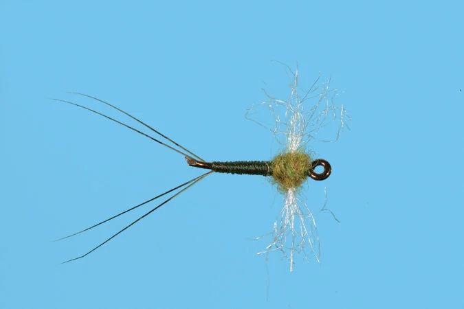 Woolly Worm Flies-Baetis Spinner