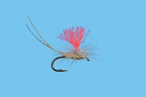 Emerger Flies-PMD Hatch Matcher