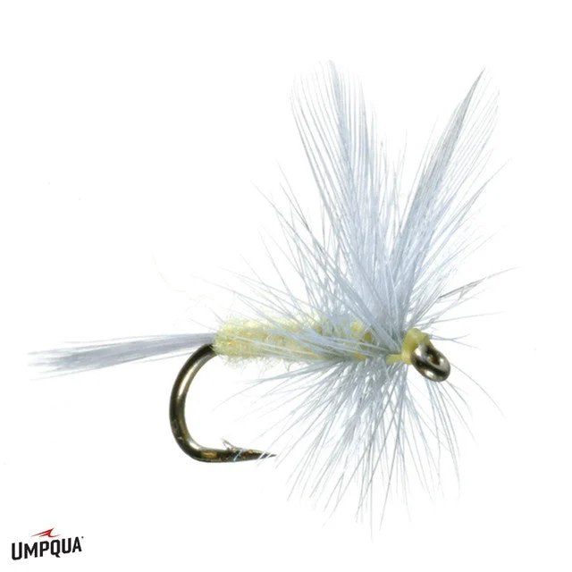 Buzzer Flies-PMD Lawson's