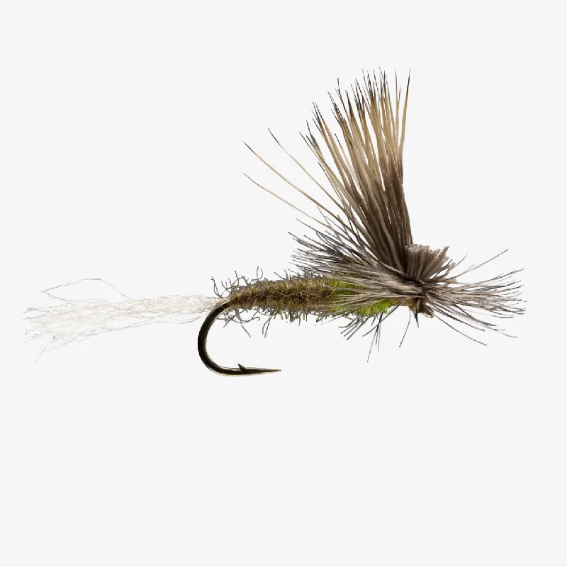 Beadhead Nymph Flies-E/C Caddis