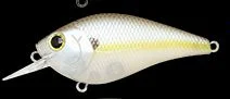 Chartreuse Shad