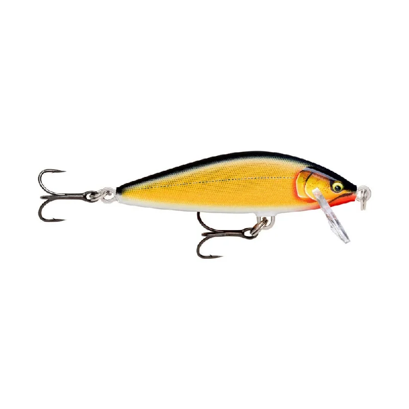 Gilded Gold Shad (GDGS)