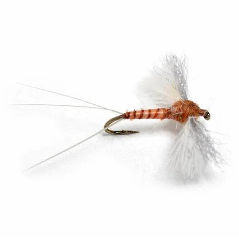 Realistic Emerger Flies-Rusty Spinner CDC Biot