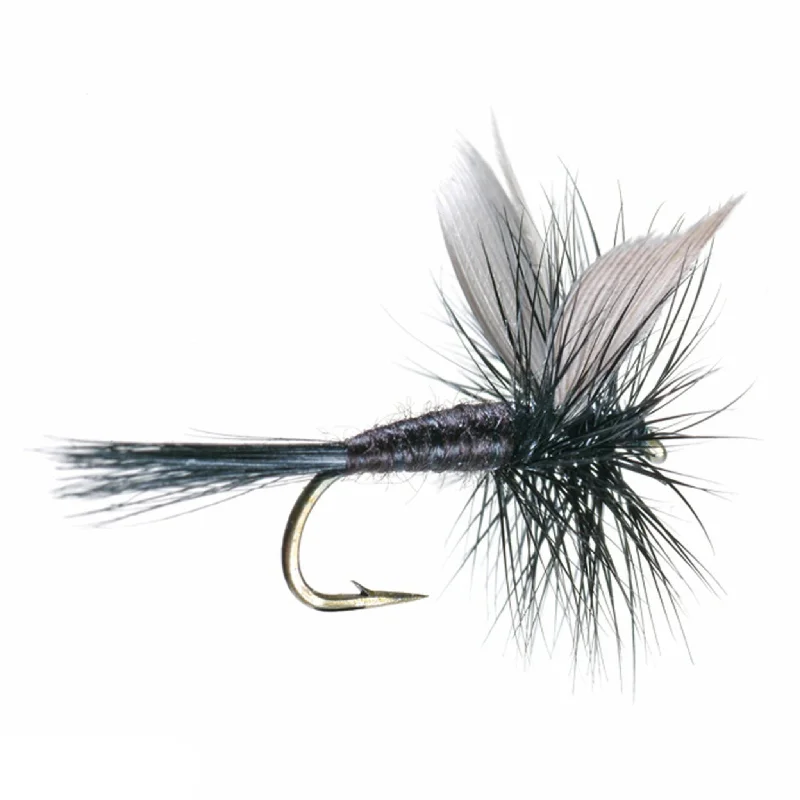 Custom Lures-Umpqua Black Gnat Fly