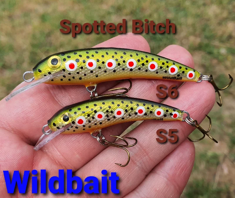 Finesse Lures-WildBait STALKERS